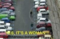 Femeia la volan - Click pe poza pentru zoom - (>Arhiva Poze, Funny, Etc<)