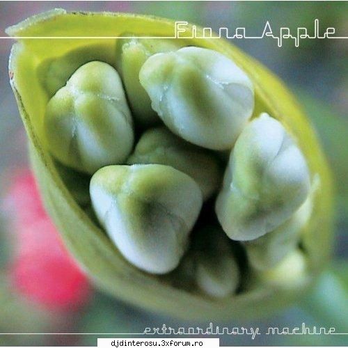 Fiona Apple - 3 Albums - (2005) Extraordinary Machine 1. Extraordinary - (>Discografi, Albume, OST<)