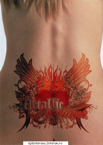Metallic Emotions DVD 2007 - 2007 Metal Germany DVD | AVI (XviD) 3.39 Gb, 772 - (>Videoclipuri Straine<)